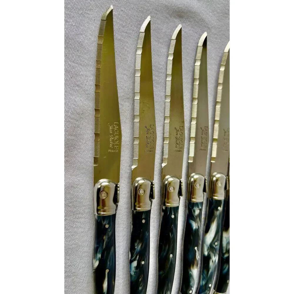 French Modern Laguiole  Stainless Steel Charcoal Gray Resin Steak Knives Set  6
